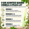 Inalador Respiratório Revair de Verbasco